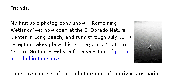 Placeworld email newsletter